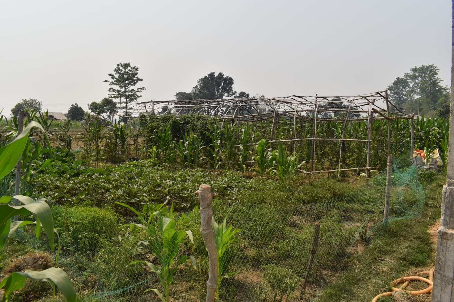 livelihood enhancement by promoting seasonal and off-seasonal vegetable production