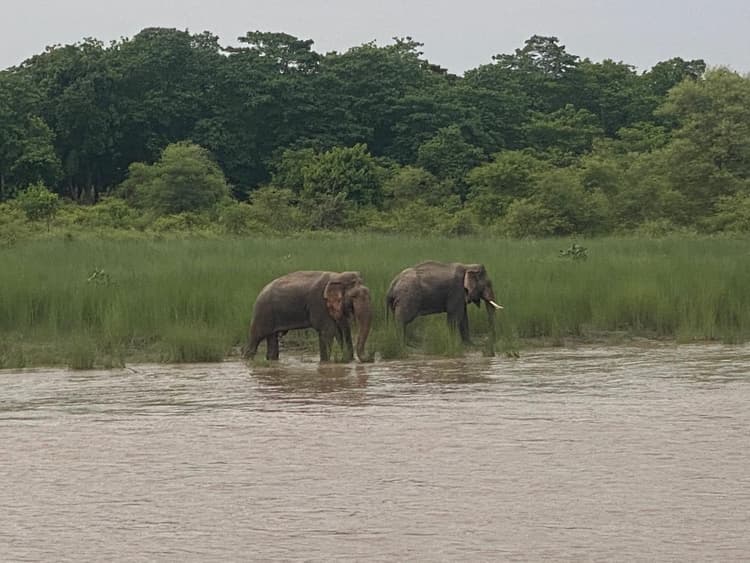 Piloting Holistic Human-Elephant Coexistence Solutions in the Kangchenjunga 