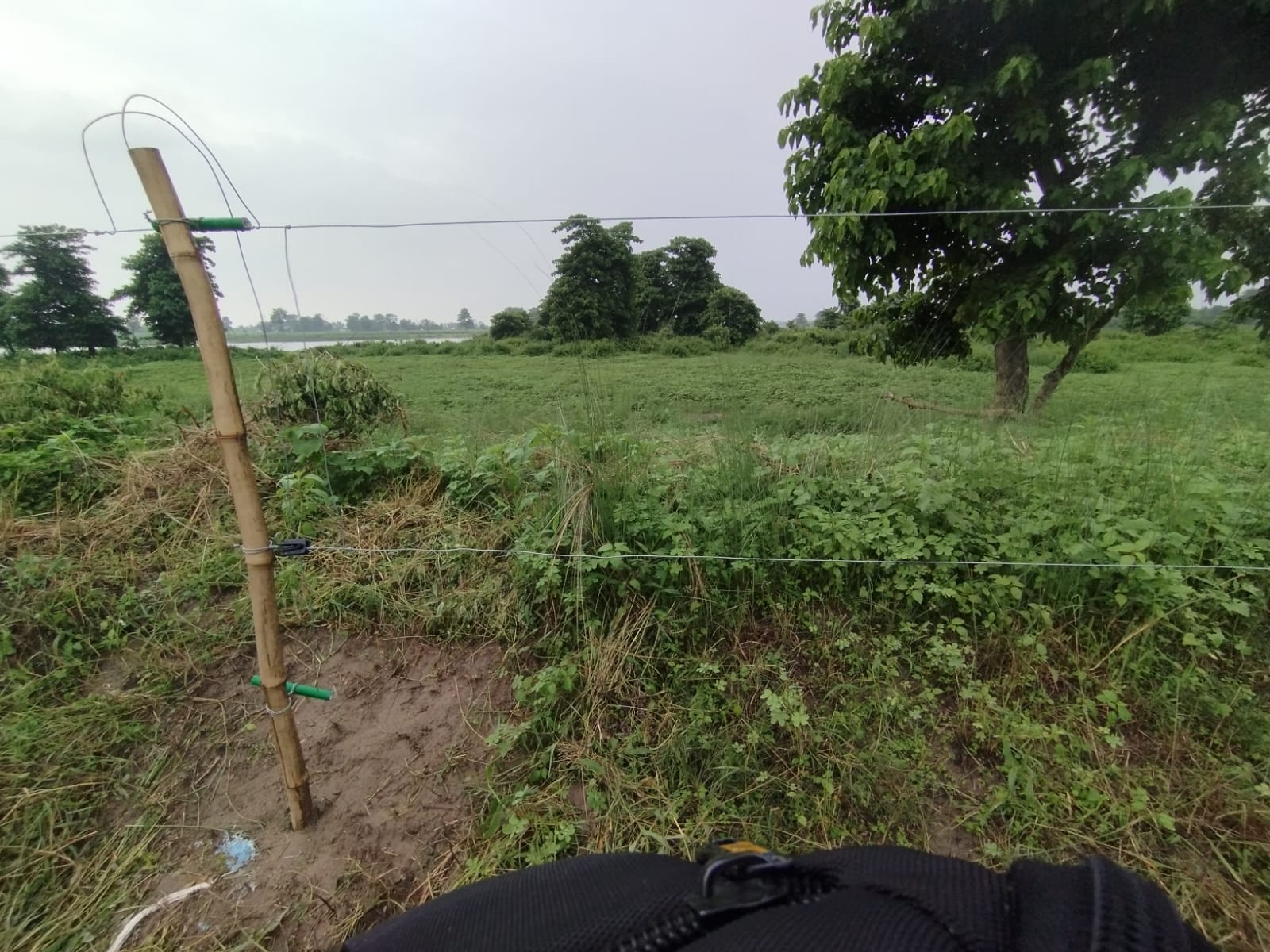 Seasonal Electric Fence
