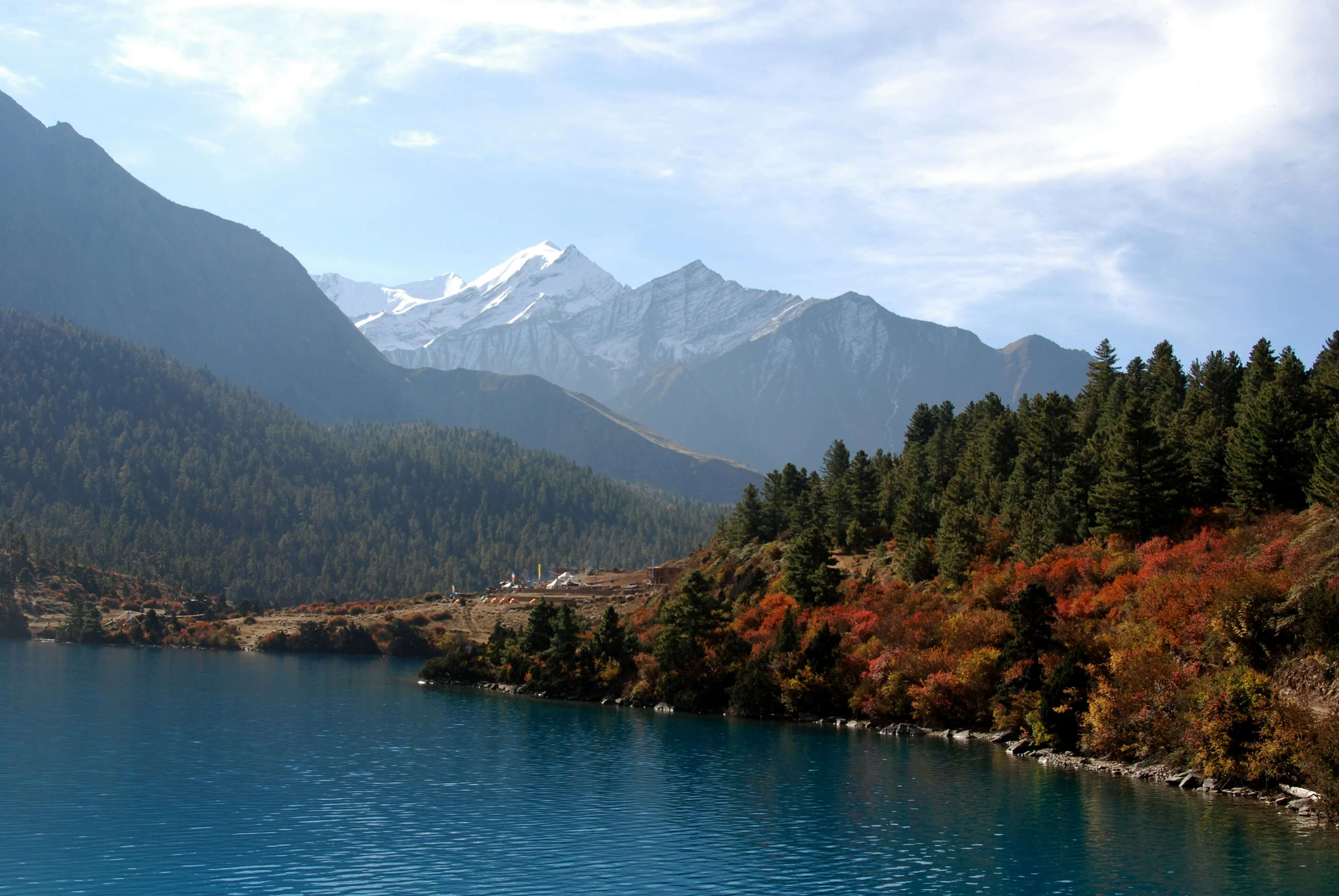 bibek-raj-shrestha-yz-qqp2HAmk-unsplash (1).jpg